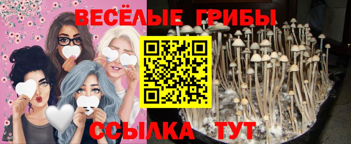 Псилоцибиновые грибы мухоморы Одинцово